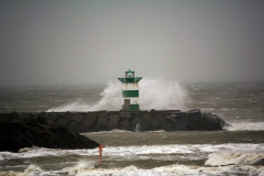 Wilde zee 1