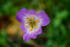 Herfststijloos