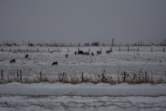 2_Landschap-1