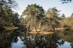 3_Landschap-1