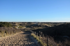 Landschap 1