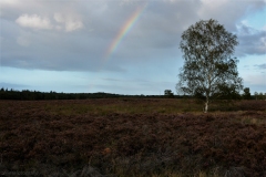 Landschap-13