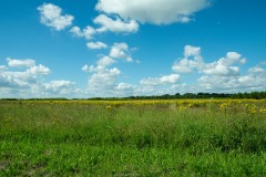 Lucht-1