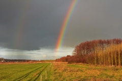Regenboog.1