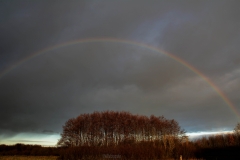 Regenboog.2
