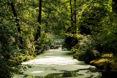 Waterzicht-2