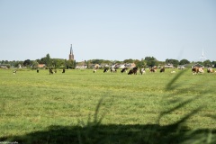 hollands-landschap