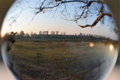 Glazen-bol-10