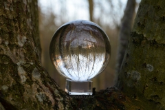 Glazenbol 4