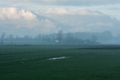 Misty-morning-2