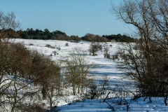 Winter-7