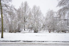 Winterlandschap 5