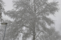 Winterlandschap 6