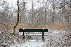 Wintersbankje