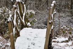 Wintersbruggetje
