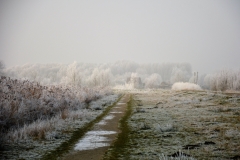 Winterslandschap 2