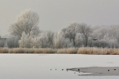 Winterslandschap 3