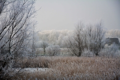 Winterslandschap 4