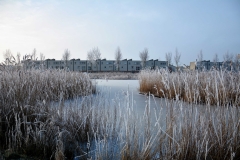winterslandschap 1