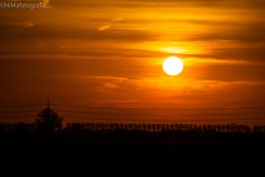 Zon-op-1