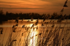 Zonsondergang 10