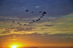 Zonsondergang 3