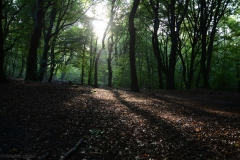 Zonsopkomst-2