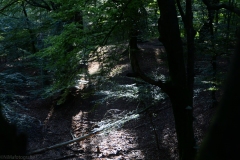 Zonsopkomst-3