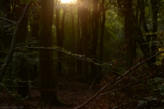 Zonsopkomst-5