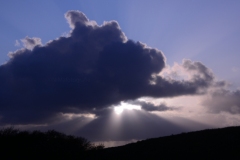 zononder-2
